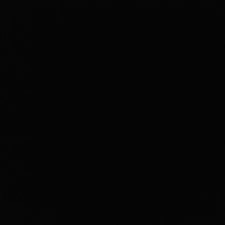 Royal Pensionat Mequinenza